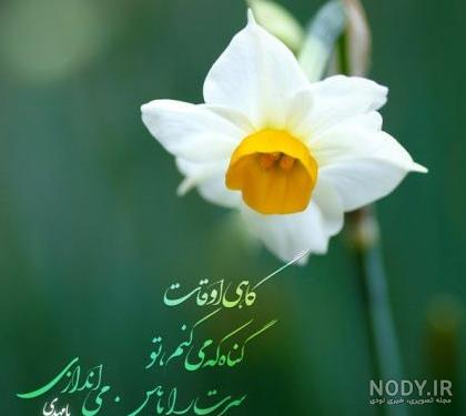 عکس حدیث از امام زمان - عکس نودی عکس حدیث از امام زمان - عکس نودی