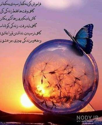 عکس های خنده دار 92 | عکس های جالب 92