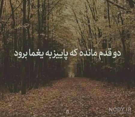 عکس دخترانه پاییزی | 100 عکس پروفایل زیبا و دخترونه فصل پاییز ...