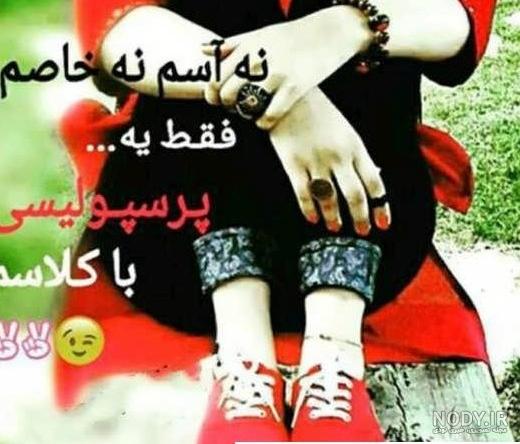 عکس شیر پرسپولیسی خفن