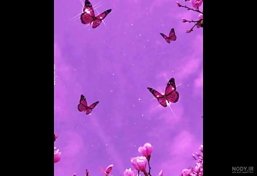 عکس صفحه گوشی شیک عکس صفحه گوشی شیک