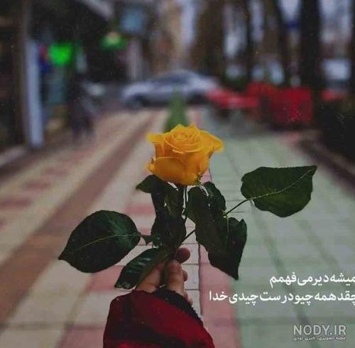 عکس پروفایل بهار با متن