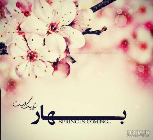 عکس پروفایل خاص بدون متن بهار - عکس نودی