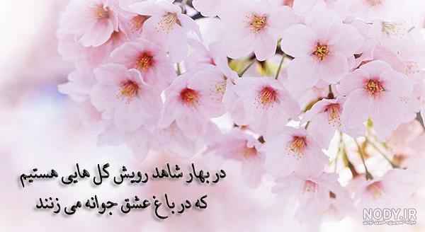 عکس پروفایل منظره خدایی