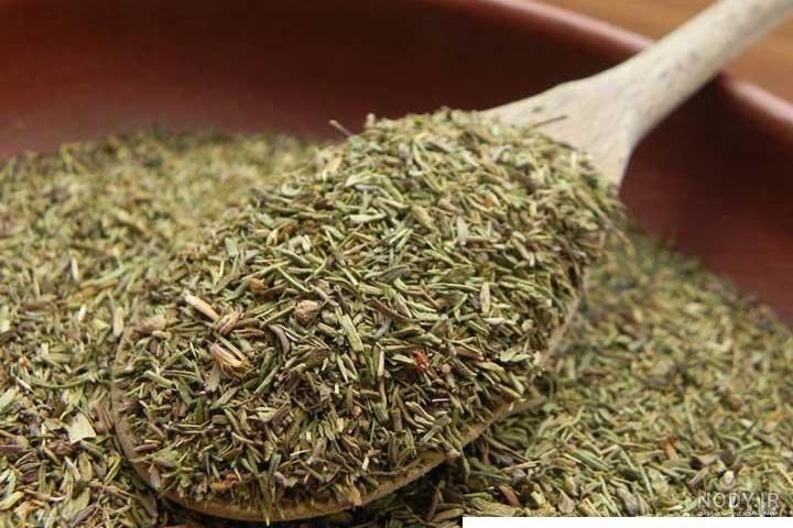 عکس گیاه آویشن باغی عکس گیاه آویشن باغی