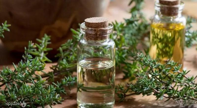 عکس گیاه آویشن - عکس نودی عکس گیاه آویشن - عکس نودی