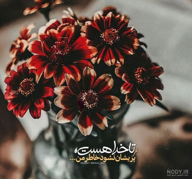 مجموعه عکس ماشین پلیس تصادف کرده (جدید)