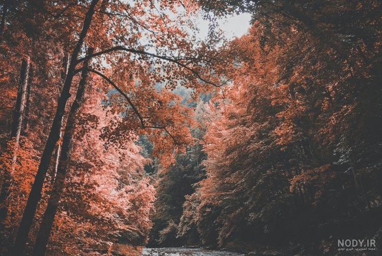 والپیپر نما از برمن