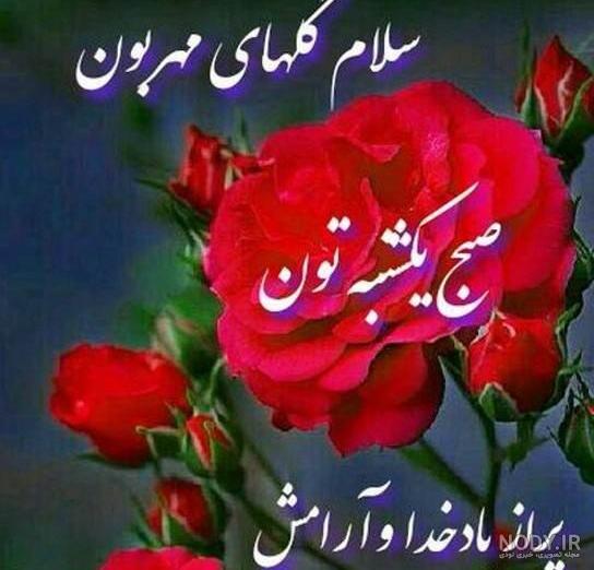 روح همه اموات شاد - عکس ویسگون