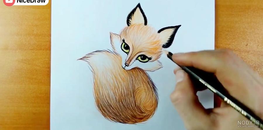 عکس روباه برای نقاشی