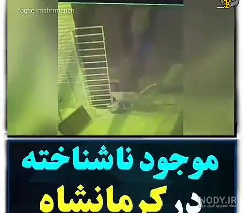 دیده شدن جن در کرمانشاه - فیلو