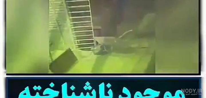دیده شدن جن در کرمانشاه - فیلو