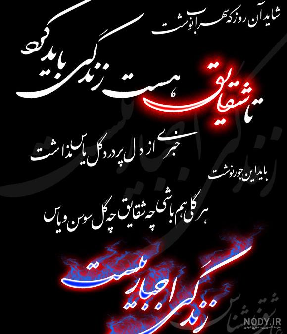 عکس نوشته شقایق - کامل (مولیزی)