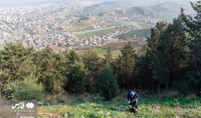 عکس دریای گرگان