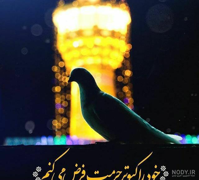 160 عکس جدید حرم امام رضا برای پروفایل