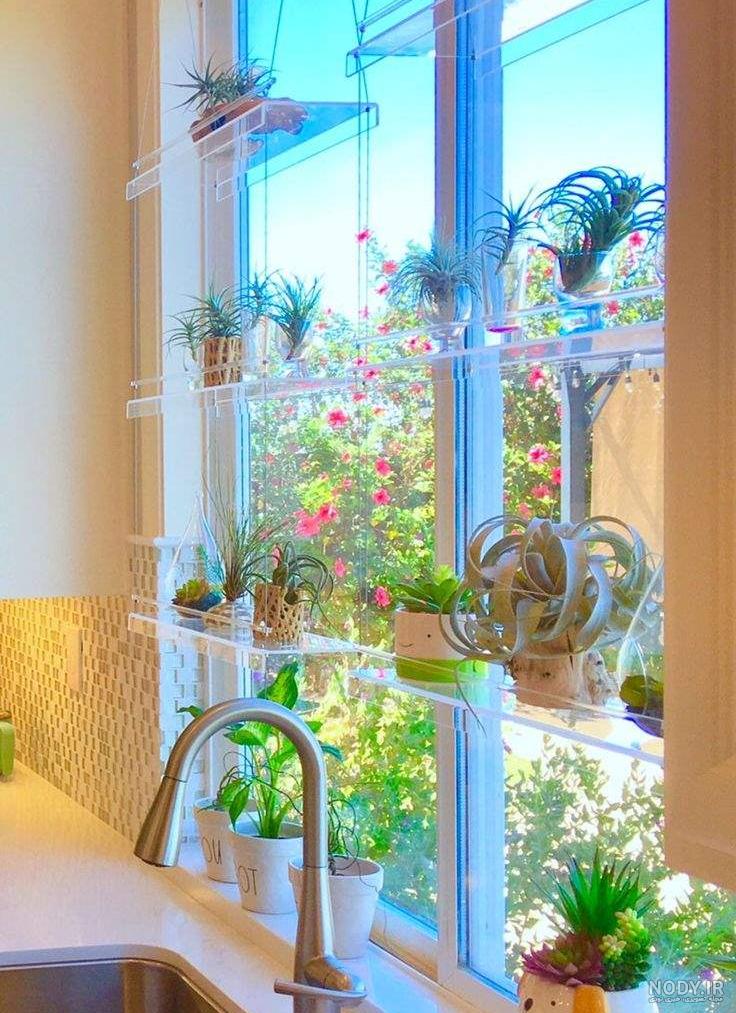 تزیین پنجره آشپزخانه با گل + تصویر
