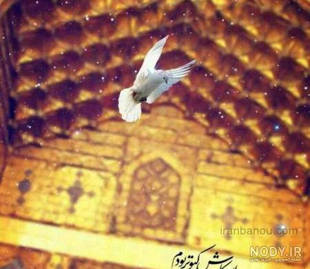 عکس تولد امام رضا برای وضعیت