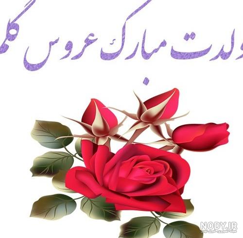 عکس تولد عروس گلم تولدت مبارک
