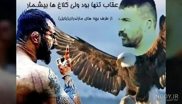 عکس عقاب ایران وحید مرادی عکس عقاب ایران وحید مرادی