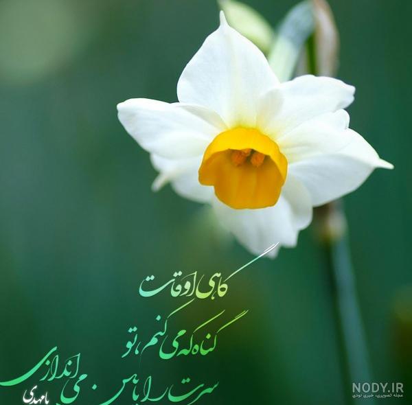 عکس نوشته دعای ظهور - عکس نودی