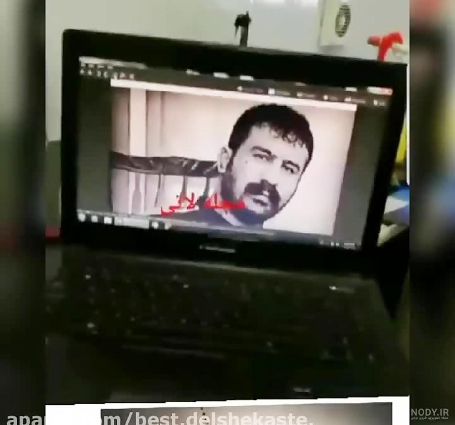 عکس وحید مرادی عقاب ایران عکس وحید مرادی عقاب ایران