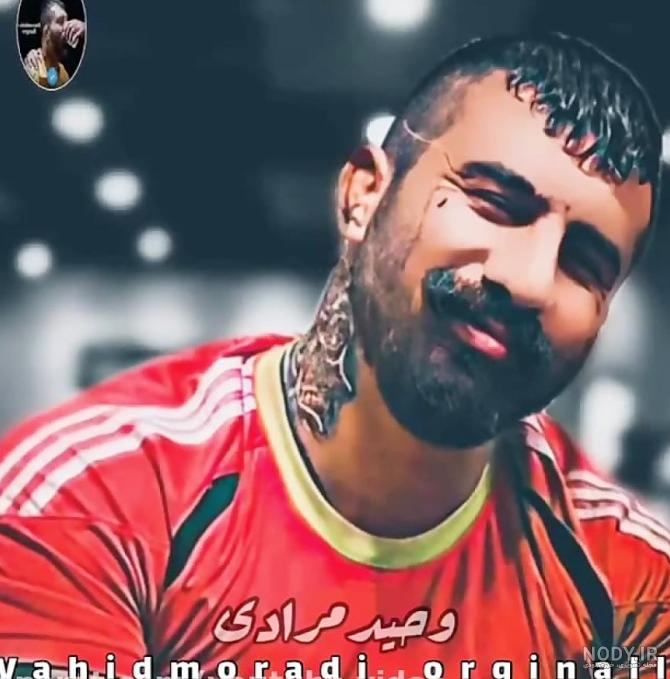 عکس وحید مرادی عقاب ایران عکس وحید مرادی عقاب ایران