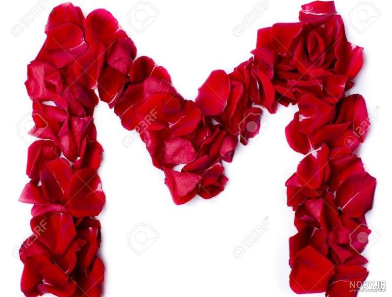 کـــدومــــم بــدون تــعــارف نــکــنــیــد بــگــیــد - عکس ویسگون