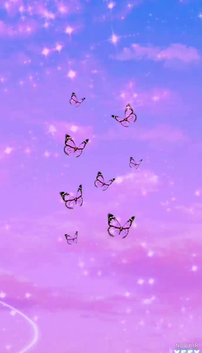 فیلم برای پس زمینه تماس سامسونگ