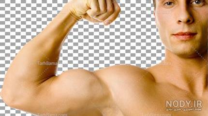 steroids عکس با کیفیت steroids و وکتور لایه باز steroids پارس ...