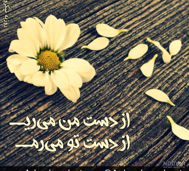 سایت تفریحی قاصدک - مطالب ارسال شده توسط bahar سایت تفریحی قاصدک - مطالب ارسال شده توسط bahar