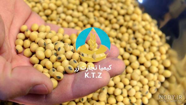 طرح توجیهی کشت سویا برترین پروتئین گیاهی طرح توجیهی کشت سویا برترین پروتئین گیاهی