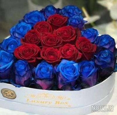 عکس از شیر آبی عکس از شیر آبی