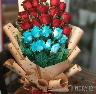 عکس شیر قرمز و آبی ۱۴۰۰ - عکس نودی عکس شیر قرمز و آبی ۱۴۰۰ - عکس نودی