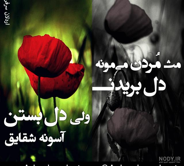 عکس های غزل شاکری و همسرش عکس های غزل شاکری و همسرش