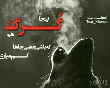 عکس غمگین گرگ