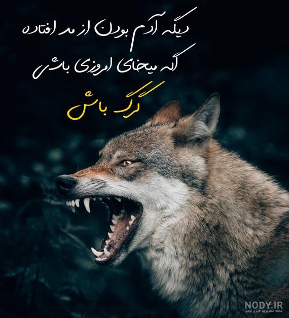 عکس غمگین گرگ
