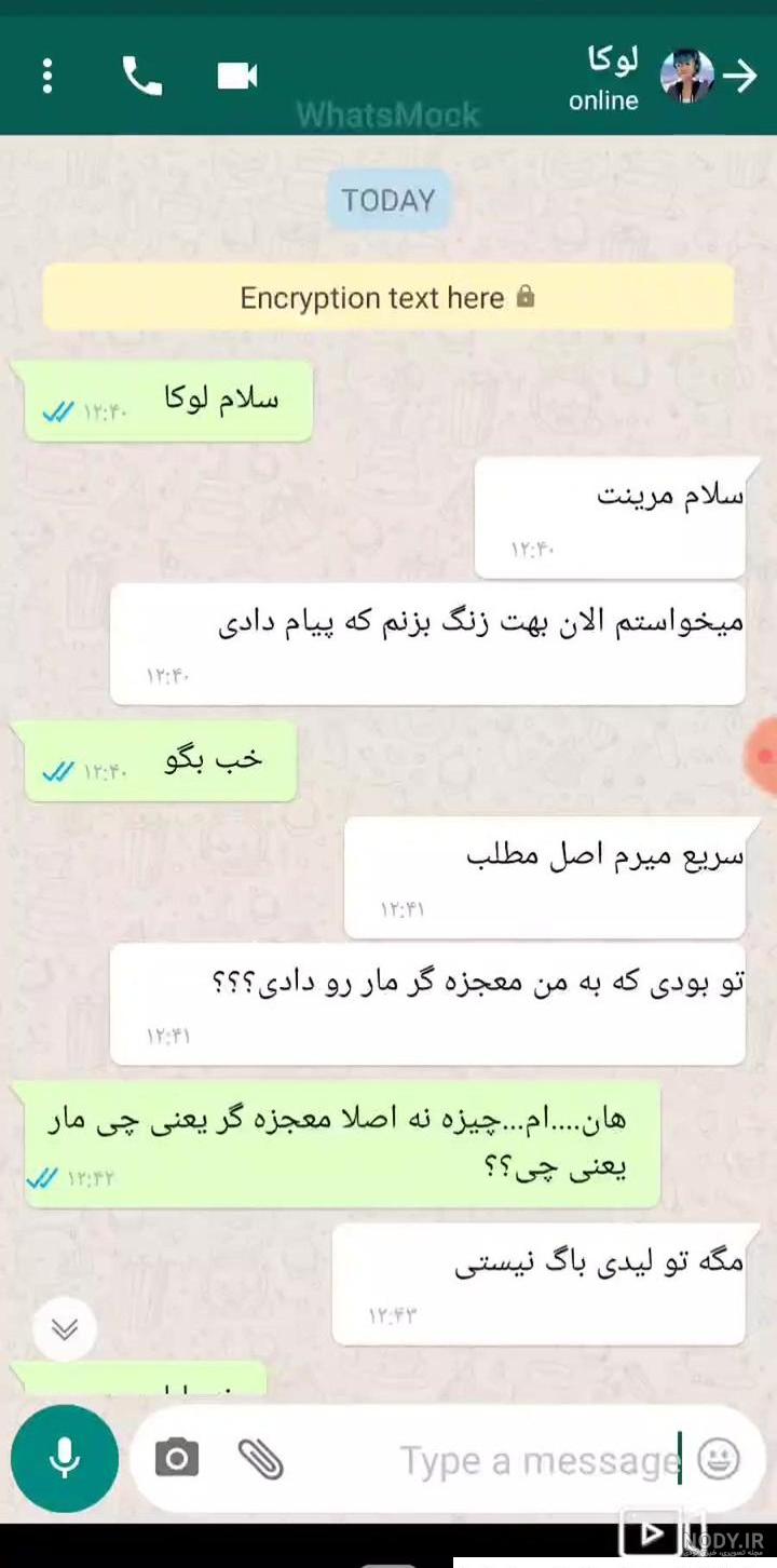 عکس چت عاشقانه ی مرینت و آدرین عکس چت عاشقانه ی مرینت و آدرین