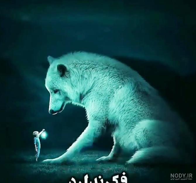 عکس گرگ خسته - عکس نودی