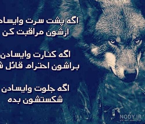 عکس های گرگ غمگین