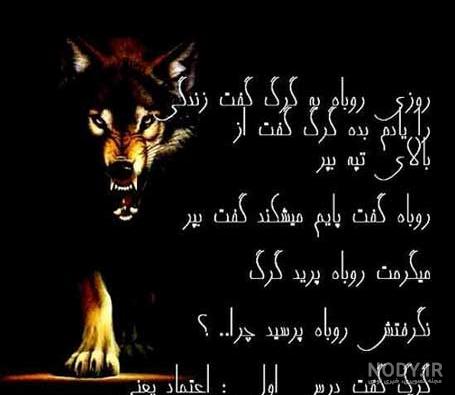عکس گرگ نوشته غمگین