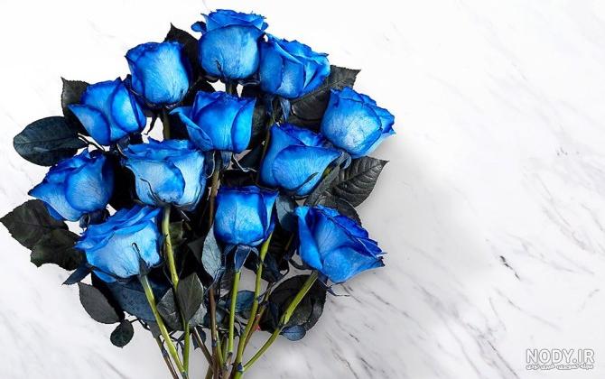 عکس گل رز ابی برای پس زمینه گوشی عکس گل رز ابی برای پس زمینه گوشی