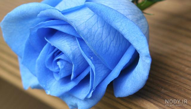 عکس گل زیبا برای تصویر زمینه عکس گل زیبا برای تصویر زمینه
