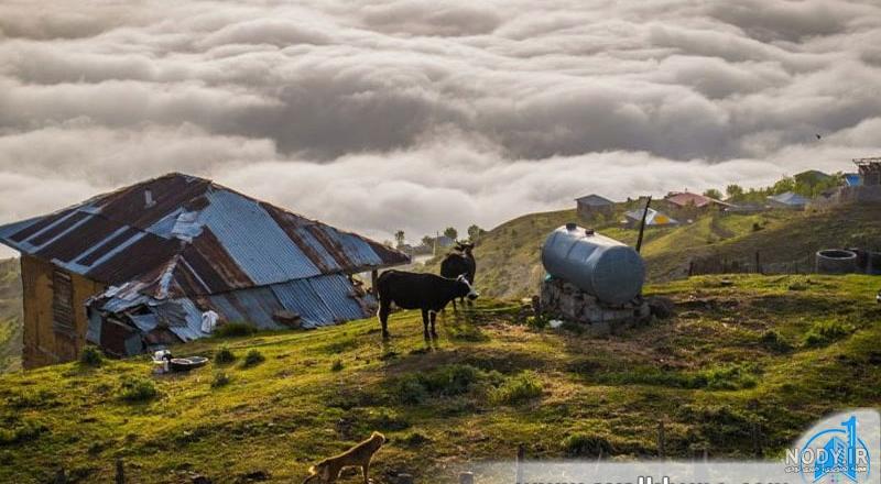 اقامتگاه بومگردی قلی تبار فیلبند در روستای فیلبند، شهر بابل در استان ...