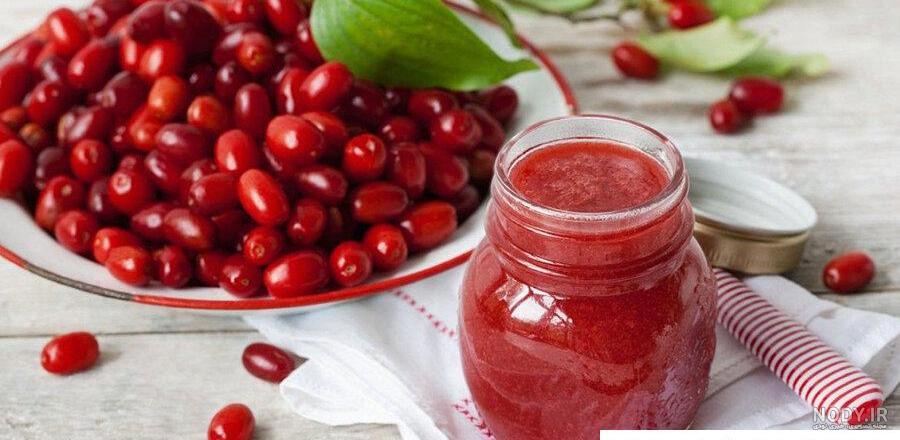 بایگانی‌های نهال زغال اخته - بذر بازار