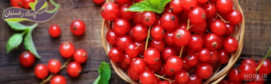 بذر درخت میوه زغال اخته Cornelian cherry بذر درخت میوه زغال اخته Cornelian cherry