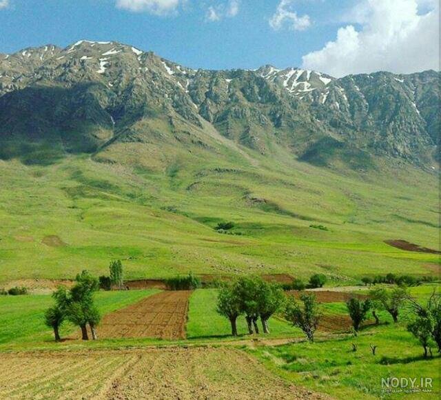 جاده جنگل توسکستان گرگان زیباترین جاده ایران +عکس | ساتین ⭐️