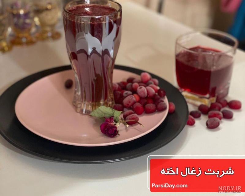 دستور العمل کاشت ، داشت و برداشت زغال اخته - پسته رفسنجان دستور العمل کاشت ، داشت و برداشت زغال اخته - پسته رفسنجان