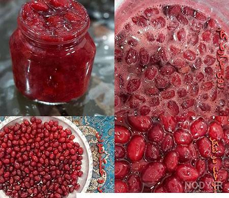 دستور العمل کاشت ، داشت و برداشت زغال اخته - پسته رفسنجان دستور العمل کاشت ، داشت و برداشت زغال اخته - پسته رفسنجان