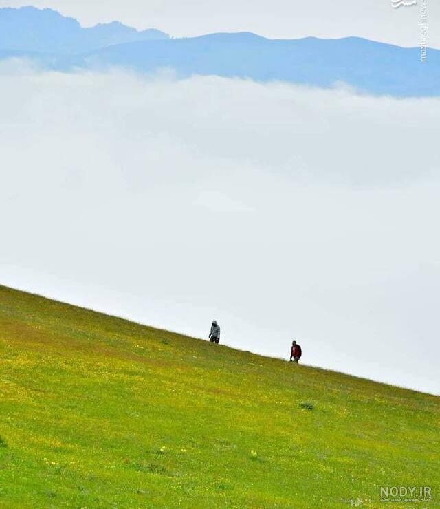 روستای داماش ، عروس شهر‌های گیلان و زیستگاه گل سوسن چلچراغ - سفرزون