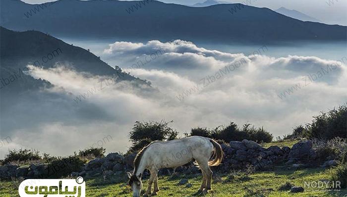 روستای فیلبند | تیشینه همسفر باهوش شما